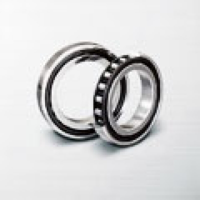 Robust Series of Single-Row Cylindrical Roller Bearings