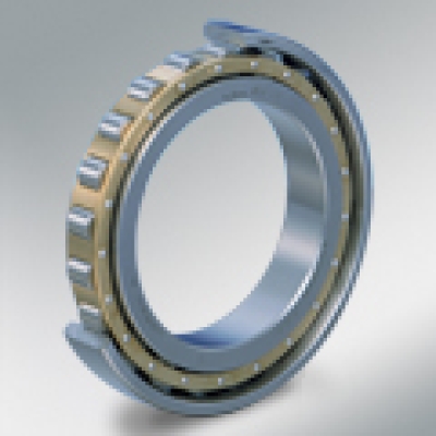 Standard Series of Single Row Cylindrical Roller Bearings